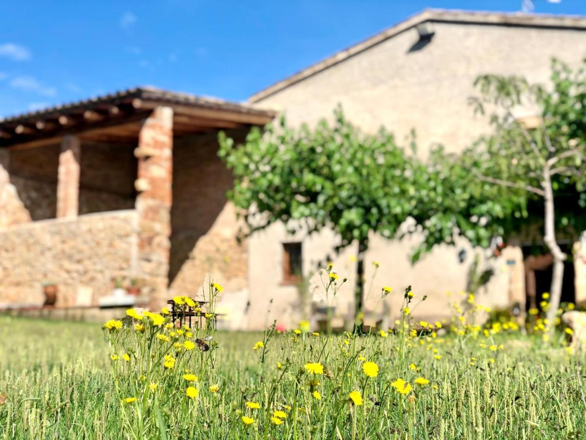 Casa Rural Can Miquel - En Pleno Bosque Y Cerca De La Playa - Increibles Rutas Btt Санта-Кулома-да-Фарнес Екстер'єр фото