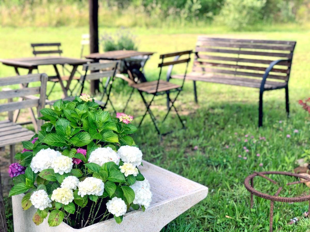 Casa Rural Can Miquel - En Pleno Bosque Y Cerca De La Playa - Increibles Rutas Btt Санта-Кулома-да-Фарнес Екстер'єр фото