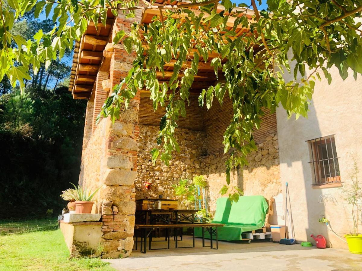 Casa Rural Can Miquel - En Pleno Bosque Y Cerca De La Playa - Increibles Rutas Btt Санта-Кулома-да-Фарнес Екстер'єр фото