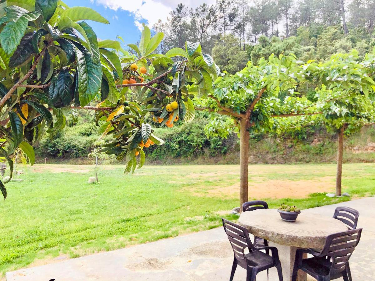 Casa Rural Can Miquel - En Pleno Bosque Y Cerca De La Playa - Increibles Rutas Btt Санта-Кулома-да-Фарнес Екстер'єр фото