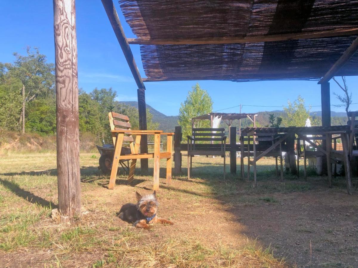Casa Rural Can Miquel - En Pleno Bosque Y Cerca De La Playa - Increibles Rutas Btt Санта-Кулома-да-Фарнес Екстер'єр фото