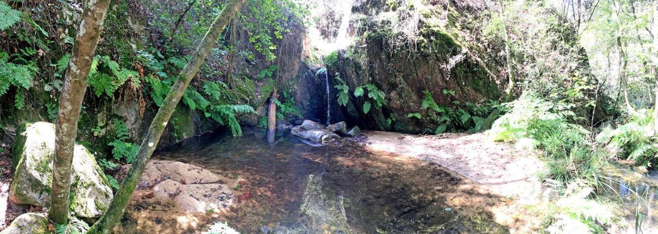 Casa Rural Can Miquel - En Pleno Bosque Y Cerca De La Playa - Increibles Rutas Btt Санта-Кулома-да-Фарнес Екстер'єр фото