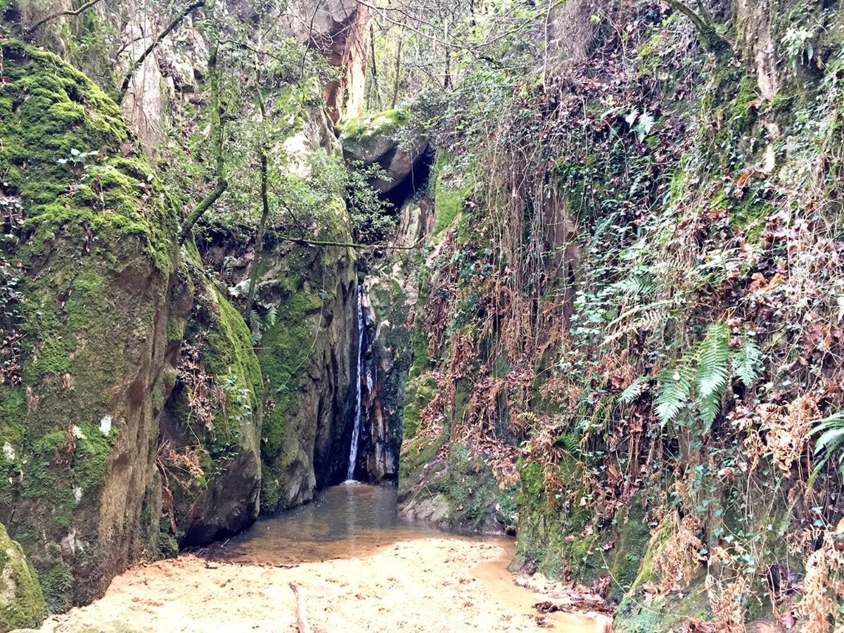 Casa Rural Can Miquel - En Pleno Bosque Y Cerca De La Playa - Increibles Rutas Btt Санта-Кулома-да-Фарнес Екстер'єр фото